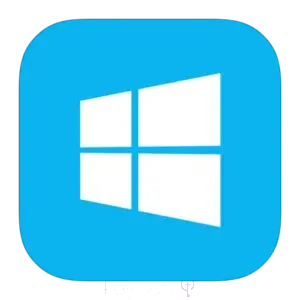 windows lisanlari